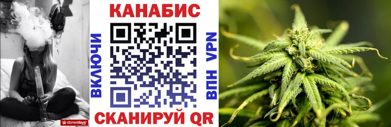 Шишки марихуана сатива  Пионерский 